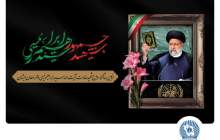 خادم‌الرضا بود، شهید خدمت شد